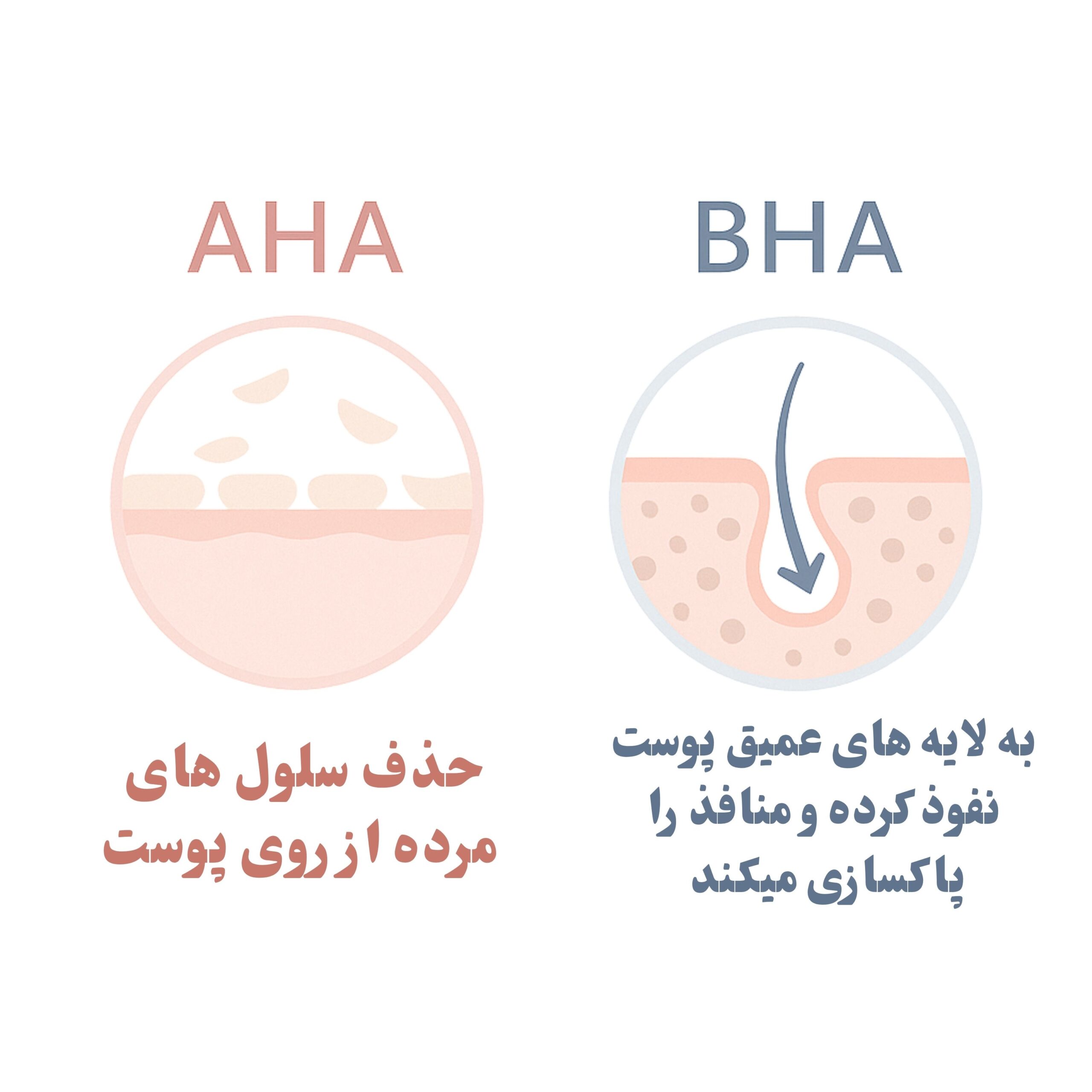 پیلینگ-دریم-رز